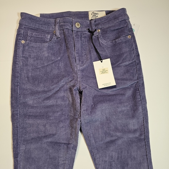 Stitch Fix Cosmic Blue Love Corduroy Periwinkle Plum Size 27 NWT - Picture 12 of 12